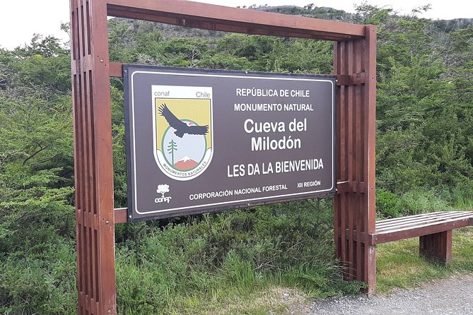 4-Day Private Patagonia Tour: Torres Del Paine, Glaciers & Penguins - Customer Reviews