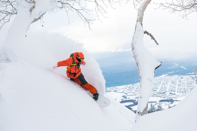 4-Day Private Powder-Snow Ski Tour.(Hakuba/Niseko/Furano) - Questions and Support