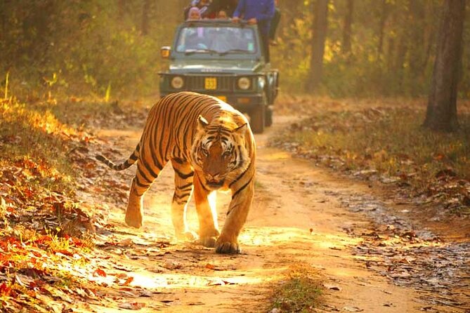 4-Day Private Ranthambhore Tiger Tour Including Delhi, Agra and Jaipur - Pricing and Inclusions