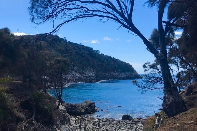 4-Day Private Tasmania Wilderness and Whiskey Walks. - Booking and Tour Details