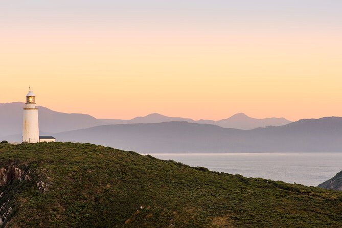 4-Day Private Tasmania Wilderness and Whiskey Walks. - Inclusions