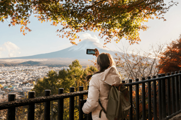 4-Day Private Tour MT Fuji, Kamakura, Hakone, Nikko - Entry and Admission Fees