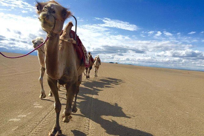 4-Day Private Tour of Dunhuang with Accommodation - The Value of This Tour