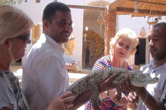 4-Day Private Tour of Luxor, Aswan and Abu Simbel Historic Sites - Itinerary Overview