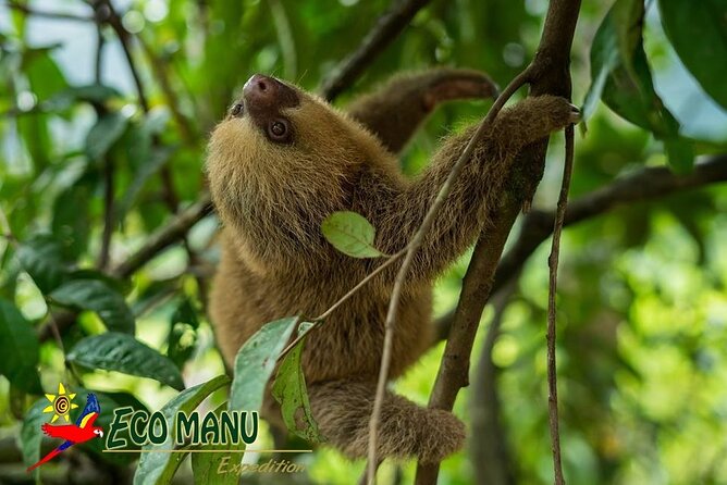 4-Day Private Tour to Manu National Park From Cusco - Tour Highlights