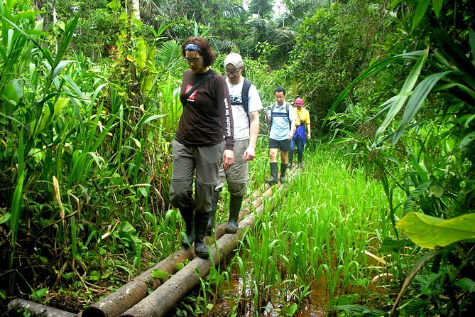 4-Day Private Tour to Manu National Park From Cusco - Accommodation Options