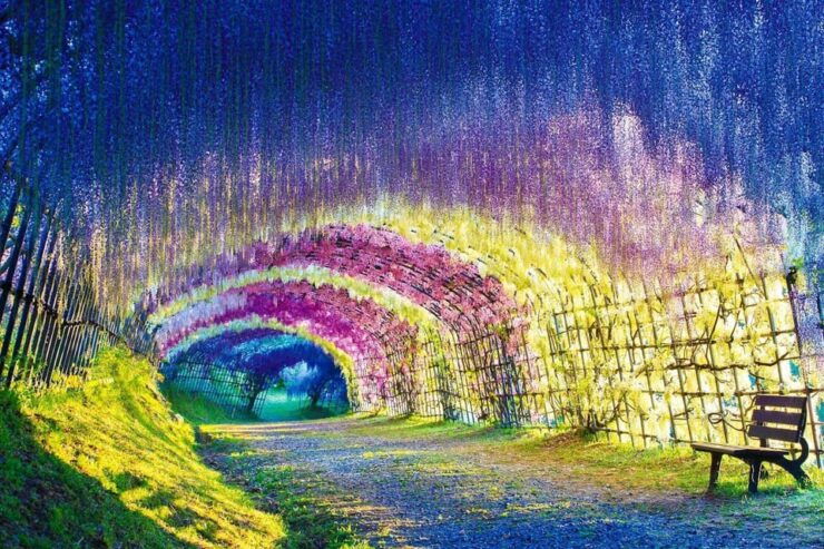 4 Day Private Tour Tokyo, Mt.Fuji, Nikko, Kamakura, Hakone - Good To Know
