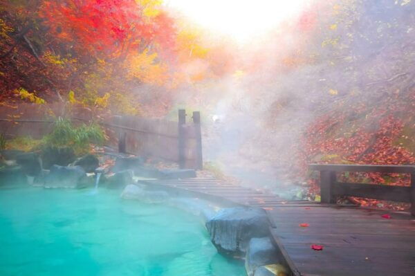 4 Day Private Tour Tokyo, Mt.Fuji, Nikko, Kamakura, Hakone - Important Information
