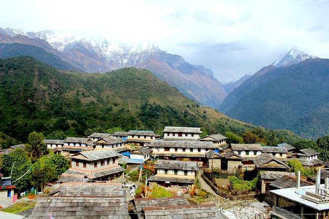 4-Day Private Trekking Experience To Poon Hill and Ghandruk - Meeting and Pick-up Details