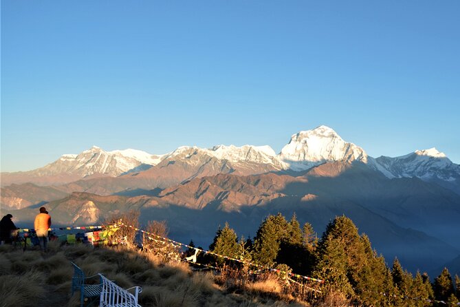 4-Day Private Trekking Experience To Poon Hill and Ghandruk - Traveler Photos and Reviews