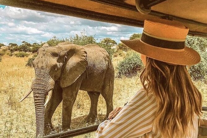 4 Day Private Wilderness Safari in Arusha - Good To Know