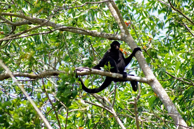 4 Day Refugio Amazonas - Classic Program - Group Service - Inclusions