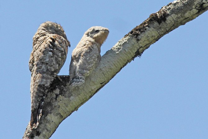 4 Day Refugio Amazonas - Classic Program - Group Service - Cancellation Policy