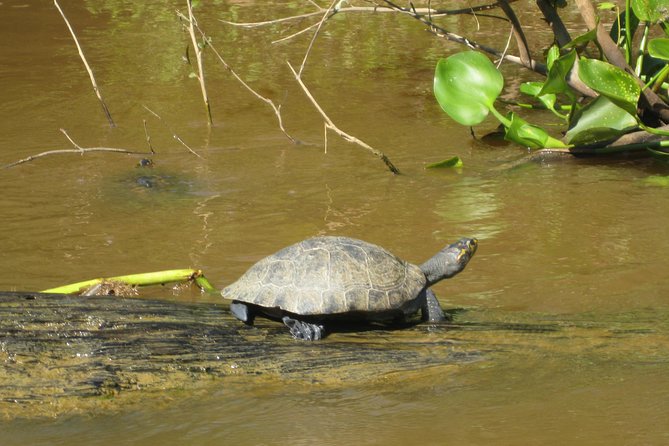 4 Day Refugio Amazonas - Classic Program - Group Service - The Sum Up