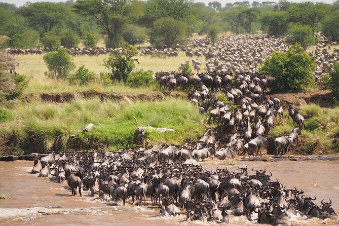 4-Day Safari Adventure in Tanzania - Accommodation Details