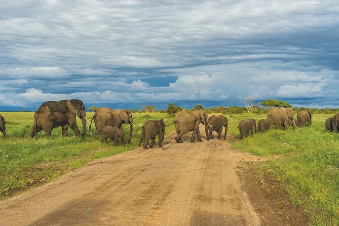 4-Day Safari Adventure in Tanzania - Cultural Experiences