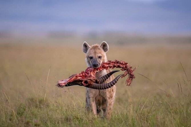 4-Day Safari Adventure in Tanzania - Booking Information