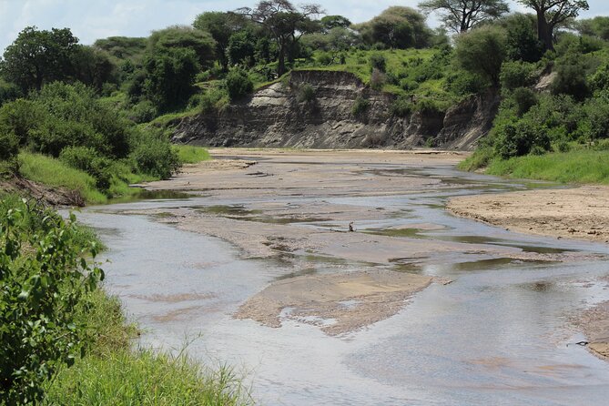 4-Day Safari in Tarangire, Serengeti & Ngorongoro (Mid-range) - Dining Experience on Safari