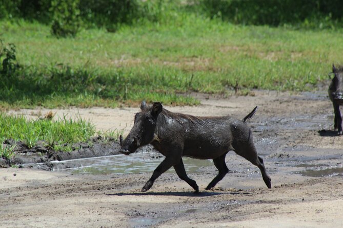 4-Day Safari in Tarangire, Serengeti & Ngorongoro (Mid-range) - Packing List Essentials