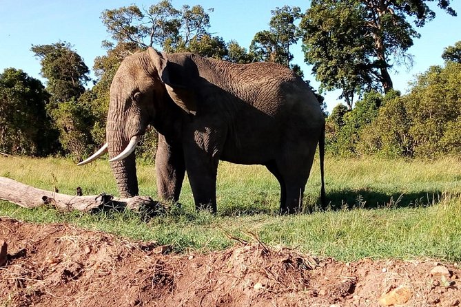 4-Day Safari: Lake Manyara, Serengeti & Ngorongoro - Group Size and Personalized Service