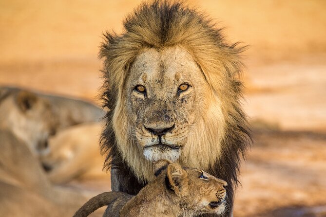 4 Day Safari- Tarangire,Ngorongoro and Serengeti - Frequently Asked Questions