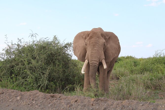 4-Day Safari Tour to Serengeti and Ngorongoro From Arusha - Booking Confirmation
