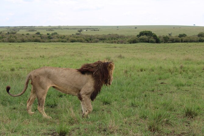 4-Day Safari Tour to Serengeti and Ngorongoro From Arusha - Pricing Information