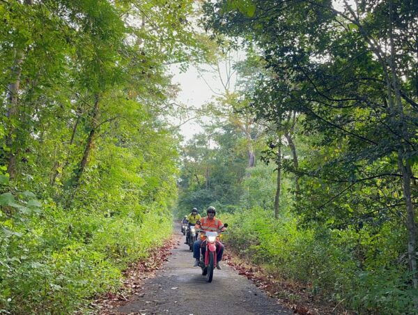 4-Day Self-Riding Motorbike Tour From Saigon to Dalat - Motorbike Tour Inclusions and Exclusions