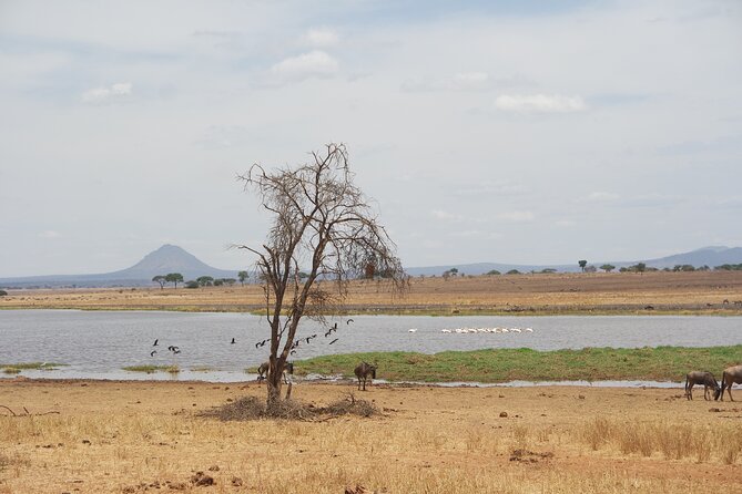 4-Day Shared Safari Tour With Complete Meals - Meal Inclusions