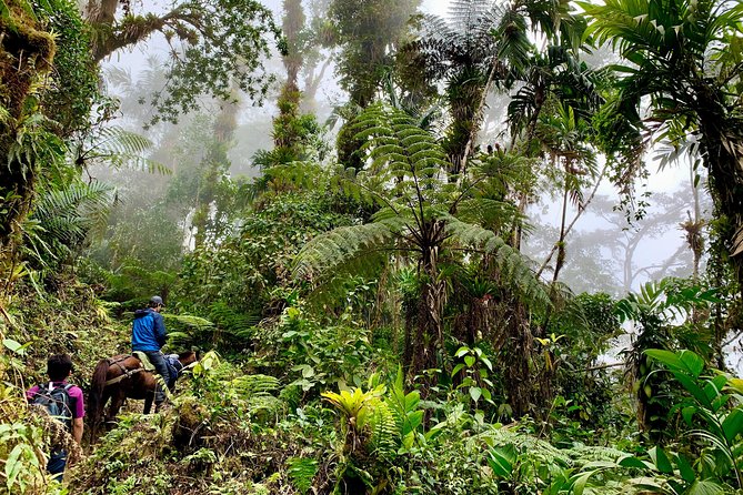4-Day Sierra Nevada Jungle Trek With Farm House Accommodation (Feb ) - Trek Overview
