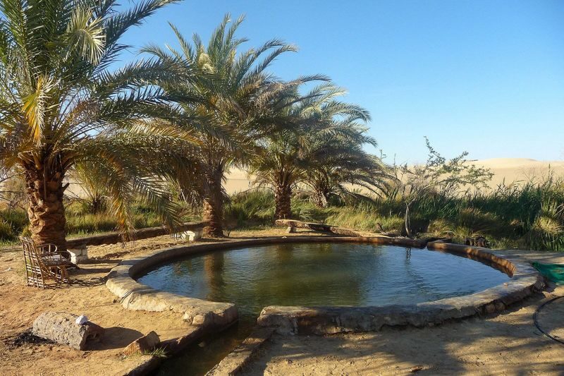 4-Day Siwa Oasis Adventure from Cairo - What the price covers, and what to check