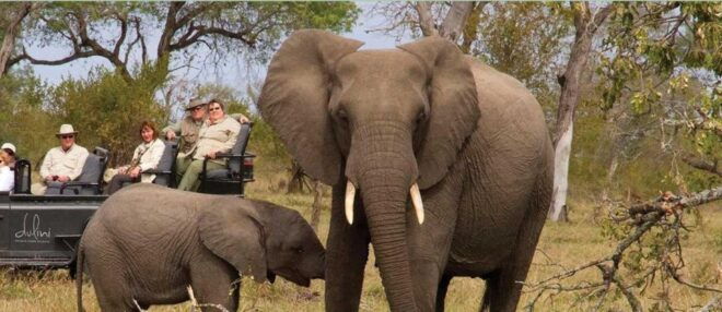 4 Day Small Group Garden Route - Depart Cape Town Wednesdays - Itinerary