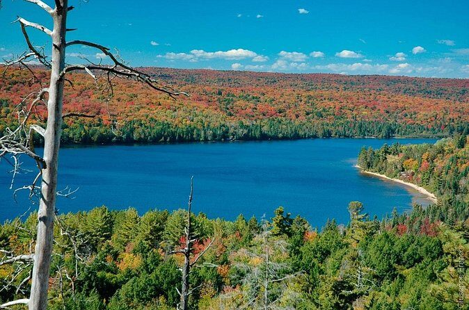 4 Day Small Group Tour Toronto Niagara Falls and Ontario Lakes - Authentic Experience and Insights from Reviews