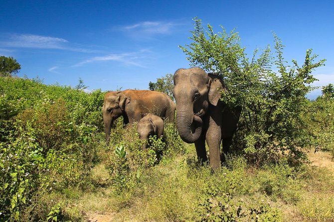 4-Day Sri Lanka Coast Tour - Directions