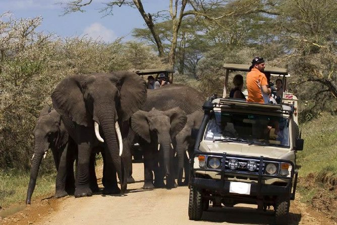 4-Day Tanzania Camping Safari to Lake Manyara, Serengeti, and Ngorongoro Crater - Accommodation and Amenities