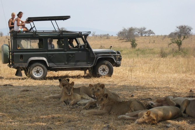 4-Day Tanzania Camping Safari to Lake Manyara, Serengeti, and Ngorongoro Crater - The Sum Up