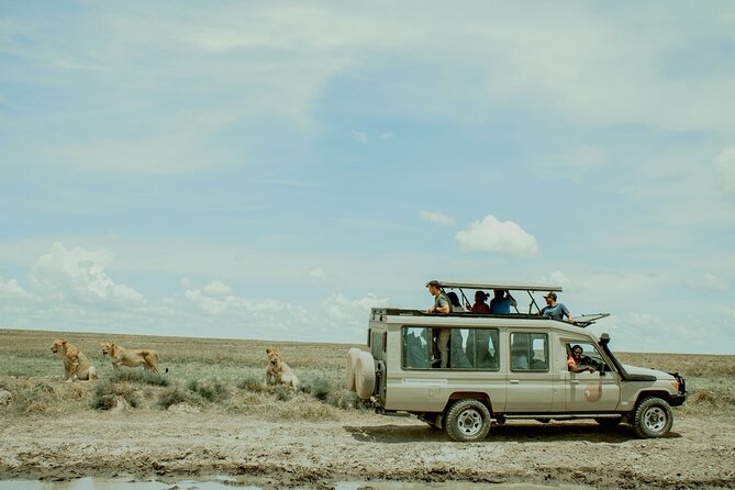 4 Day Tanzania Luxury Safari - The Sum Up