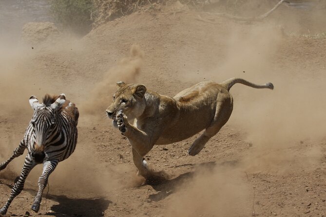 4 Day Tarangire-Ngorongoro Crater-Mount Kilimanjaro From Arusha - Start Time and Expectations