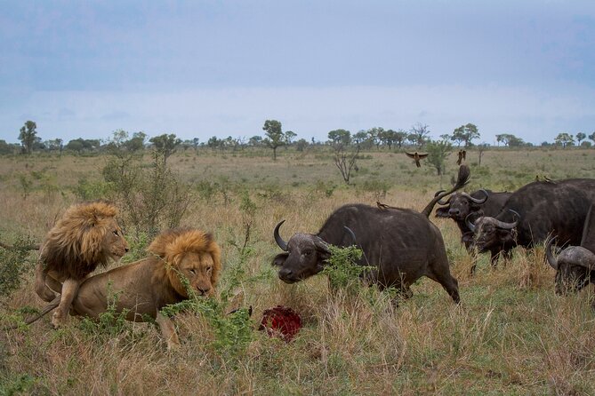 4 Day Tarangire-Ngorongoro Crater-Mount Kilimanjaro From Arusha - Cancellation Policy Details