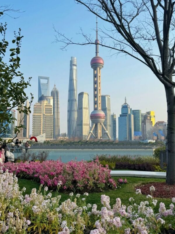 4-day tour from Shanghai to Suzhou + Hangzhou + Wuzhen - From Shanghai lights to the gardens of Suzhou