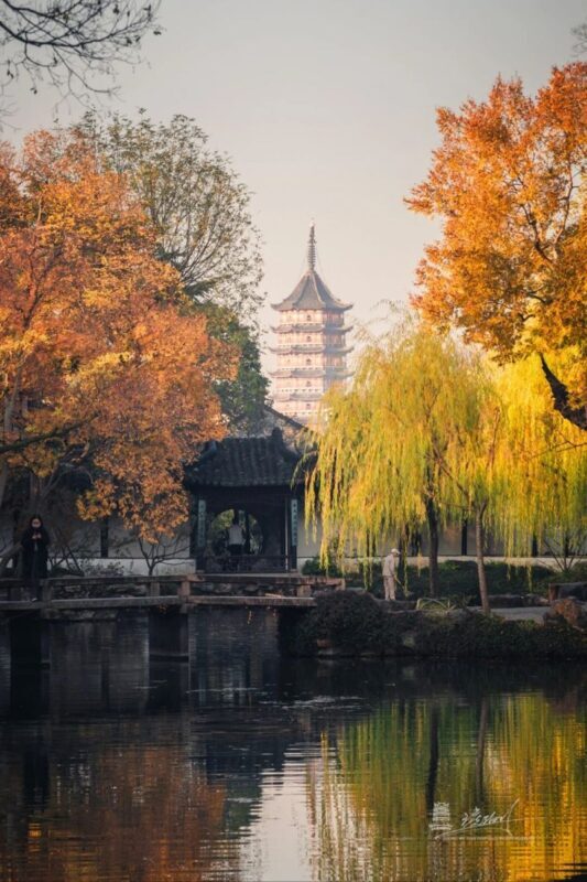 4-day tour from Shanghai to Suzhou + Hangzhou + Wuzhen - Tea and old Hangzhou on the final morning