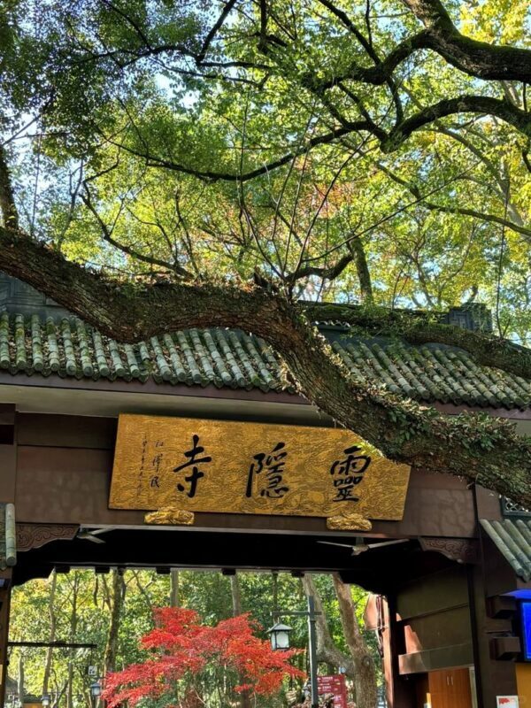 4-day tour from Shanghai to Suzhou + Hangzhou + Wuzhen - Should you book this four-day route?