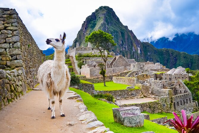 4-Day Tour in Cusco Sacred Valley Machu Picchu - The Sum Up