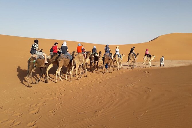 4 Day Tour of Sahara Desert, High Atlas and Berber Village - The Sum Up