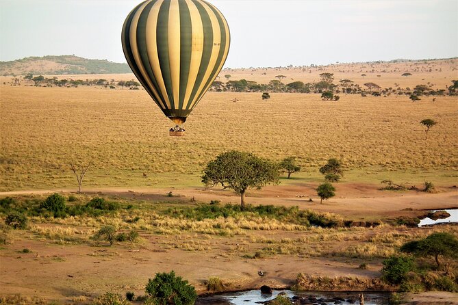 4-Day Tour to Tarangire, Serengeti and Ngorongoro - Tarangire National Park