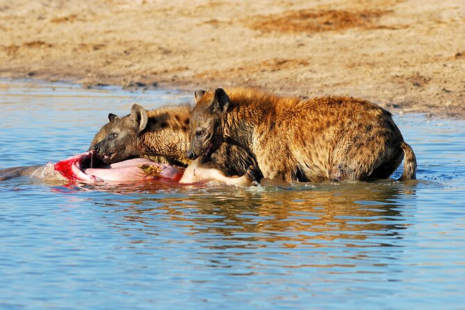 4-Day Tour to Tarangire, Serengeti and Ngorongoro - Transportation Information