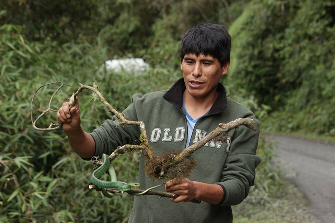 4 Day Tour to the Manu National Park - Day 2: Pilcopata Lodge to Machuwasi Lagoon