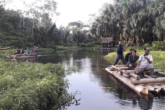4 Day Tour to the Manu National Park - Day 4: Hiking in the Forest and Zip Line