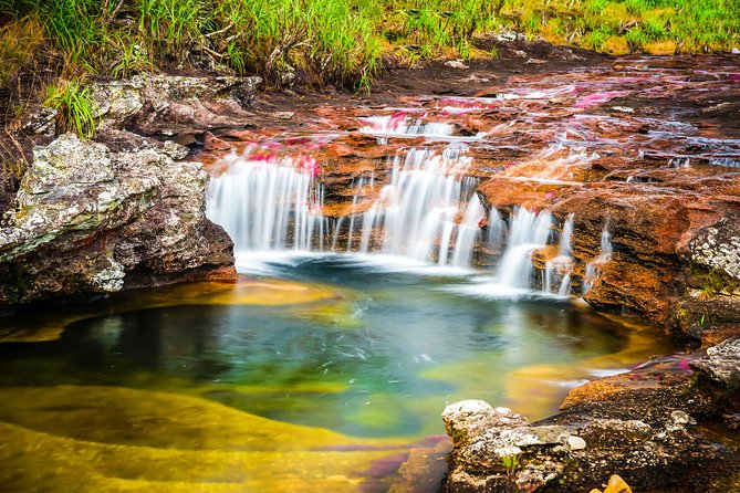 4-Day Trip to Caño Cristales (the River of Many Colors) and the Jungle - Trip Overview