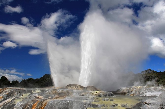 4-Day Wellington to Auckland via Rotorua Tour - Tour Overview